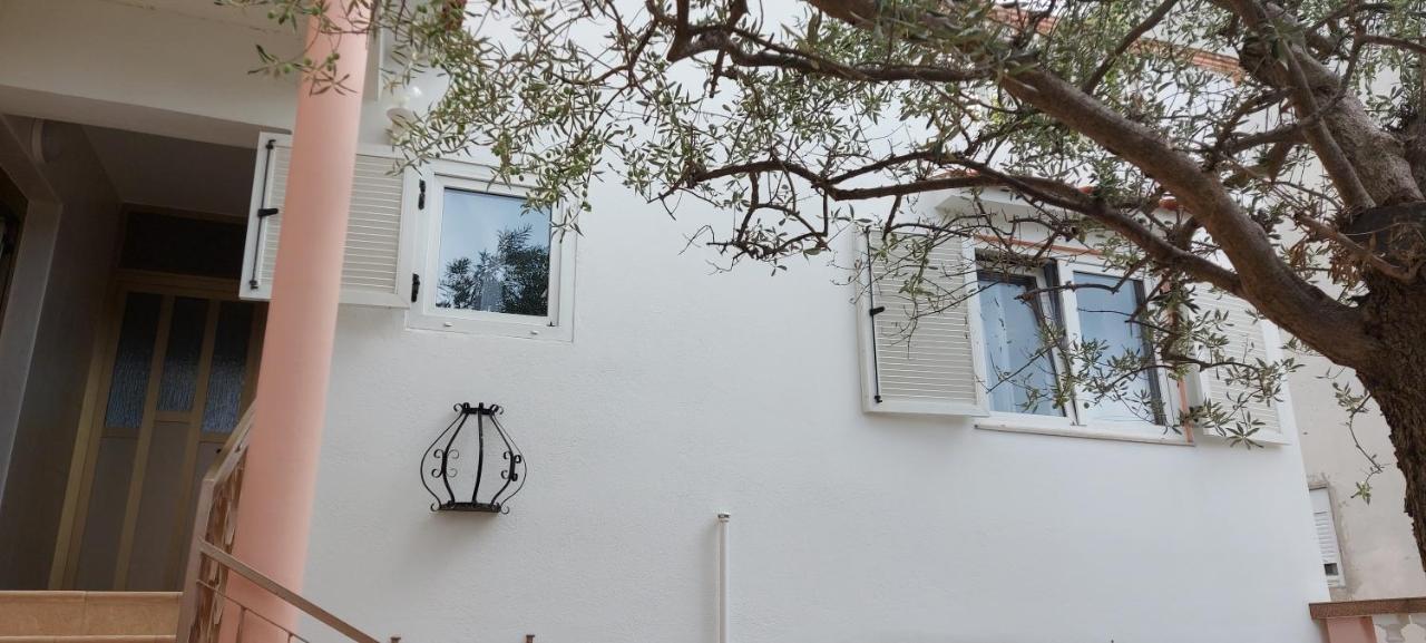 Olive Tree Apartman Zára Kültér fotó